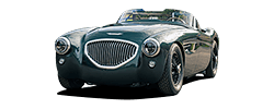 Austin-Healey banner image.