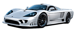 Saleen banner image.